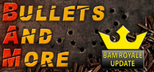 Bullets and More